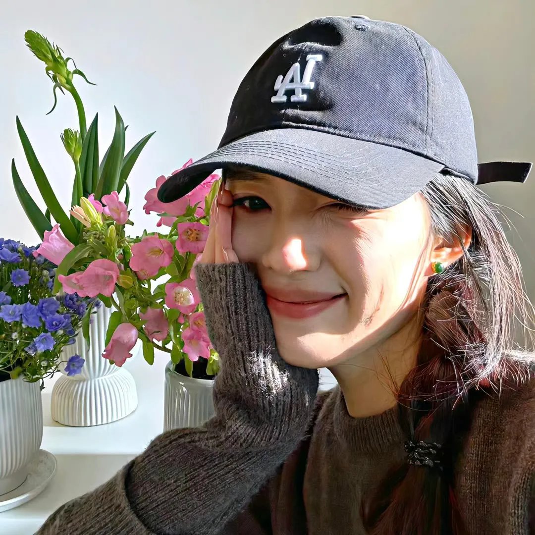 与森林共舞