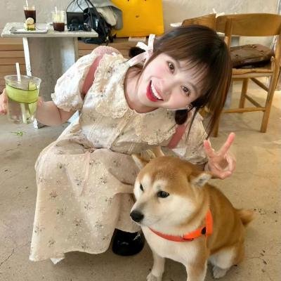 觅影记